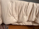 康尔馨五星级酒店被子 全棉磨毛抗菌保暖加厚春秋被冬厚被四季被芯 香槟色 【冬被】全棉磨毛150*210cm 实拍图