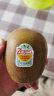 佳沛（zespri）新西兰阳光金奇异果30-33粒原箱单果重约103-124g水果猕猴桃 实拍图