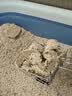可噜噜猫砂4包2.4kg原生纯豆腐原味奶香除臭低尘膨润土矿土 混合砂 【口碑款】混合砂1袋2.4kg 整箱 实拍图