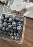 觅鲜探长秘鲁进口新鲜大蓝莓当季蓝莓水果生鲜非怡颗 【尝鲜装】2盒装净100-125g/盒 实拍图