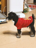 憨憨乐园狗狗猫咪衣服宠物泰迪幼犬柯基小型犬秋冬装服饰用品招财款M 实拍图