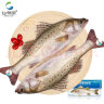 仙泉湖冷冻白蕉海鲈鱼 1kg*1袋(2条装) 肉厚刺少 地标海鲜水产 实拍图