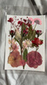 澳颜莱 真树叶植物标本干花压花幼儿园手工贴画diy材料包制作书签真花朵 国色生香系列F款 实拍图
