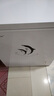 荣事达（Royalstar）小冰柜家用小型冷冻保鲜迷你冷藏商用卧式冷柜单用储母乳柜节能省电 【一级节能 全国联保】单温 228L 实拍图