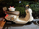 绿源（Luyuan）电动车新款上市 MODA2-Q 电动摩托车超强续航60V20Ah铅酸电池电摩外卖电瓶车 【新款】MODA2-Q 椰奶白 实拍图