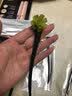 巧丂 古风新中式发簪流苏高级感汉服旗袍步摇发钗头饰520礼物套装 木质6件套 实拍图