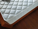 皖宝（Vanbo） 皖宝床垫 天然椰棕床垫 弹簧床垫 软硬两用双人1.5m1.8米床格调 软硬两用（厚度 22±1cm） 1800*2000 实拍图