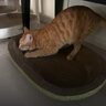 超大猫窝猫抓板一体耐磨不易掉屑猫咪窝磨爪耐抓保护沙发防猫抓圆形猫爪盆猫玩具 超特大号+六件套椭圆48*34 实拍图