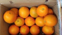之味珍选秭归伦晚脐橙10斤带箱80MM+礼盒春橙新鲜水果当季节日送礼 实拍图