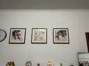 紫腾随轩齐白石装饰画新中式客厅背景墙面挂画卧室饭厅餐厅水墨虾壁画实木 莲蓬 50*50cm（有机玻璃）（默认红木色框） 实拍图