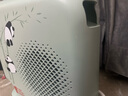 艾美特（AIRMATE）取暖器办公室家用桌面暖风机小型加热器电暖器2000w大功率立卧两用国宝熊猫即热暖风机 2000W大功率开机即热【绿色】 实拍图