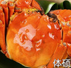 【活蟹】湖鲜阳澄大闸蟹全母3.9-4.2两10只去绳足重鲜活超大蟹海鲜螃蟹礼盒装源头直发 实拍图
