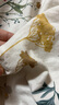 安睡宝（SOMERELLE）100%全棉床上四件套纯棉 床单款床上用品被套200*230cm1.5/1.8米 实拍图