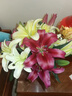 悦多彩AB级优质香水百合 家庭办公室各色生活鲜花 昆明基地 现采直发 百合组合20朵（黄色/粉色各10朵） 实拍图
