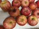 京鲜生 正宗新疆阿克苏苹果 脆甜苹果 4.5kg 果径90-95mm 新鲜水果 实拍图