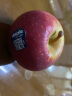 新西兰丹烁苹果水果中大果Dazzle当季新鲜脆甜进口红苹果 10粒（单果160-180g) 晒单实拍图