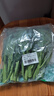 京鲜生 新鲜芥蓝 芥兰 湖南出品  600g 简装 新鲜蔬菜  实拍图
