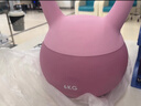 MF壶铃女士软体壶铃5kg提壶哑铃健身家用专业练臀翘臀力量训练器材 6kg 软壶铃-紫色 实拍图