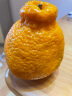 京鲜生 四川丑橘不知火 优级果3kg装 单果180g以上 新鲜水果 实拍图