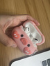 京苑 适用于AirPods Pro二代保护套airpods4苹果耳机套1/2/pro3代卡通蓝牙壳一二三代硅胶防摔保护壳 【爱心猪】+挂钩 AirPods Pro/Pro2保护套 实拍图