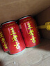 王老吉凉茶310ml*12罐 整箱装 天然植物饮料【张凌赫同款】热门商品推荐 实拍图