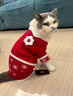 华元宠具（hoopet）猫咪衣服过年冬装毛衣防掉毛小狗狗衣服宠物拜年衣服保暖喜庆唐装 圣诞色雪花毛衣 XL：胸围49cm（建议10-14斤） 实拍图