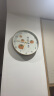 BBA 挂钟客厅家用柿柿如意北欧风创意餐厅装饰钟表挂墙石英钟30cm 实拍图