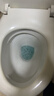 绿伞洁厕宝 卫生间马桶除菌洁厕块 持久耐用去异味 50g*3块*5卡 实拍图