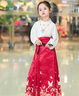 萝美酱2025新款马面裙女童过年服套装全套儿童汉服春秋小女孩中国风 鹤吟长袖上衣+酒红色马面裙+项链 140 实拍图