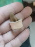 曼尔乐器古筝指甲玳瑁色考级专用古筝甲片 成人儿童凹槽指甲古筝配件中号 实拍图