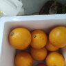 京鲜生 春季上新黄金果冻橙净重5斤单果200g起 新鲜水果 源头直发 实拍图