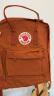 FJALLRAVEN北极狐双肩包kanken背包大容量露营运动背包23510 243陶褐色 16L 实拍图