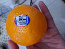 新奇士（Sunkist） 澳洲黑标晚熟脐橙4斤礼盒装 单果180g起 生鲜水果礼盒 实拍图