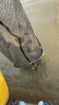 渔之源AK鱼护野钓专用鱼网兜渔护速干防挂加厚涂胶小型鱼护2.5米*31cm 晒单实拍图