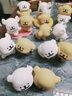 名创优品（MINISO）线条小狗快乐贴贴盲盒手办桌面摆件玩具周边生日礼物男女 端盒 实拍图