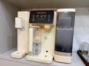 碧云泉G3智能家用制冷加热一体台式净饮冰水矿物质水免安装自来水反渗透过滤器泡奶即热净饮机国家补贴 G3c-伊斯:冰水版 实拍图