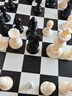 先行者磁性国际象棋儿童教学训练益智棋类玩具折叠国际象棋B-9特大号 实拍图