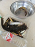 kastking卡斯丁大钓力纺车轮路亚鱼线轮铝合金机身海钓渔轮矶钓轮 实拍图