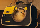 KimPets猫包外出宠物便携单肩书包太空舱背包狗狗猫咪猫笼子外带携带用品 【憨憨熊】茶色遮光透气太空包 （0-12斤左右宠物适用）40*26*26 实拍图