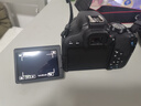 佳能/Canon 600D 700D 750D 760D 800D 850D二手单反相机新手学生入门旅游高清相机 800D+18-55 IS STM【套机】 99新 实拍图
