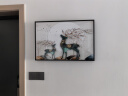 柳莺花燕免打孔电表箱装饰画现代简约客厅餐厅挂画电闸箱配电箱遮挡壁画 幸福麋鹿 60X40遮挡50X30 液压款 实拍图
