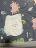 好奇（Huggies）小森林心钻【去野系列1】超薄透气尿不湿纸尿片 成长裤XXXL24 实拍图