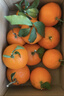 泰汇吃四川爱媛38号果冻橙 新鲜当季水果柑橘桔子时令 9斤（75-80MM）商超特级果净8.5 实拍图