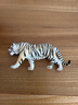 思乐（Schleich S）新年礼物仿真动物模型 老虎狮子狼豹白虎猞猁男女孩儿童玩具生日 白色老虎14731 实拍图
