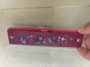 迪士尼(Disney)16孔复音口琴 儿童乐器玩具草莓熊启蒙早教乐器SSD-8003-TS生日礼物礼品送宝宝 晒单实拍图