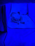 蒂优兰（deruline）蓝光灯黄疸新生儿去黄蓝光灯婴儿宝宝家用除黄降黄检测蓝光仪器箱 蓝光箱【医款治疗版】+眼罩尿片 晒单实拍图