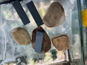 旭萃 缅甸翡翠原石玉石毛料 貔貅料手玩把件牌子吊坠毛料公斤料练手料 2号 实拍图