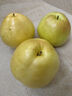 隰县玉露香梨山西隰县玉露香梨小西天特产梨子脆甜无渣多汁当季新鲜梨子礼盒装 12颗大果 净重10斤【送礼佳品】 实拍图