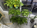 蜗家花架阶梯式阳台装饰花架落地简约多肉花盆架层架置物花架 实拍图