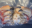 渔哥戏鱼熟冻面包蟹满黄面包蟹大螃蟹海蟹黄道蟹生鲜蟹类海鲜水产 （600-800g）*2只 实拍图